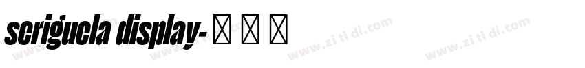 seriguela display字体转换